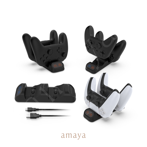 Base de Carga Doble para Controles